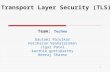 1 Transport Layer Security (TLS) Team: Techno G autami Parulkar Hariharan Venkataraman Jigar Patel karthik gottiparthy Neeraj Sharma.