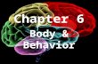 Chapter 6 Body & Behavior. Section 1 The Nervous System.