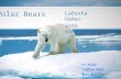 Polar Bears LaDasha Damar Jada Vanessa 3 rd Grade Lindley Park Mrs. Mullins’s Class.