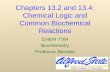 Chapters 13.2 and 13.4: Chemical Logic and Common Biochemical Reactions CHEM 7784 Biochemistry Professor Bensley.