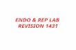 ENDO & REP LAB REVISION 1431. Pituitary Adenoma Circumscribed mass in sella turcica.