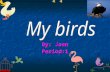 By: Joan Period:1 Medium size bird found in wooded areas throughout most of North America. Medium size bird found in wooded areas throughout most of.