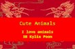 Cute Animals I love animals 3B Kylie Poon. Dogs  I hate dogs because they like to lick people.
