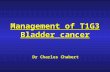 Management of T1G3 Bladder cancer Dr Charles Chabert.