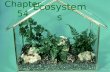 Chapter 54 Ecosystems. An ecosystem consists of all the organisms living in a community as well as all the abiotic factors with which they interact Ecosystems.