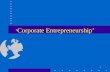 1 ‘ Corporate Entrepreneurship’. 2 Corporate Entrepreneurship Introduction –(linking with other concepts of entrepreneurship) Venturing –(company activities)