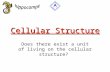 Cellular Structure Does there exist a unit of living on the cellular structure?