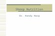 Sheep Nutrition Dr. Randy Harp. Sheep Nutrition  Digestive System- handout  Ruminant:  Rumen, Reticulum, Omasum and Abomasum  Ruminant not developed.
