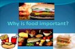 Food is our body’s source for energy and structural materials.