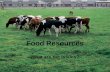 Food Resources What are the Issues?. Types of Agriculture Industrialized –High input –Industrialized countries Plantation –Monoculture for export –Fair.