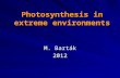 Photosynthesis in extreme environments M. Barták 2012.