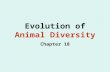 Evolution of Animal Diversity Chapter 18. Animal Evolution Basics Animal Evolution was rapid, occurring ~ 600 million years ago (Precambrian Era) Evidence.