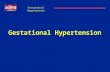 Gestational Hypertension. Objectives Definitions Diagnosis Management -Fetal / Maternal assessment -Anti-Hypertensive therapy -Anti-Seizure therapy -Transport.
