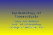 Epidemiology of Tuberculosis Ashry Gad Mohamed Prof. of Epidemiology College of Medicine, KSU.