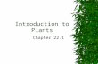Introduction to Plants Chapter 22.1 Basic Plant Structure.