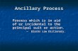 Ancillary Process Process which is in aid of or incidental to the principal suit or action. ─ Blacks Law Dictionary.