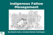Indigenous Fallow Management (IFM) By: Malcolm Cairns, Kurniatun Hairiah, Paul Burgers.