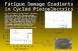 Fatigue Damage Gradients in Cycled Piezoelectrics For PZT samples cycled under a bipolar field the degree of fatigue damage, measured as a reduction in.