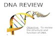 DNA REVIEW Objective: To review the structure and function of DNA.