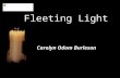 Fleeting Light Carolyn Odom Burleson. Fleeting Light You came - and stayed but a little while You offered nothing but a smile In that brief time a ray.