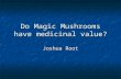 Do Magic Mushrooms have medicinal value? Joshua Root.