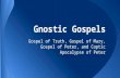 Gnostic Gospels Gospel of Truth, Gospel of Mary, Gospel of Peter, and Coptic Apocalypse of Peter.
