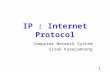 1 IP : Internet Protocol Computer Network System Sirak Kaewjamnong.