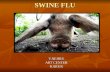 SWINE FLU V.NEHRU ART CENTER KARUR. INTRODUCTION Swine flu is a respiratory disease of pigs caused by type A Influenza virus Swine flu is a respiratory.