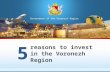 Reasons to invest in the Voronezh Region 5 Government of the Voronezh Region.