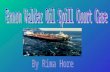 The Disaster  Just after midnight on March 24, 1989, the Exxon Valdez, an oil tanker, hit Bligh Reef in the Prince William Sound dumping 11 million gallons.