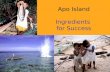 Apo Island Ingredients for Success. Outside stimulation and facilitation  Outsiders brought fresh ideas.  Marine biologist helped Islanders understand.