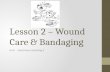 Lesson 2 – Wound Care & Bandaging Unit – Veterinary Assisting II.