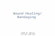 Wound Healing/ Bandaging. Learning Objectives  Describe the process of wound healing  List and describe the factors that affect wound healing  Discuss.