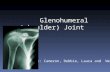 Glenohumeral (shoulder) Joint By: Cameron, Debbie, Laura and Wendy.