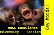 MUSC Excellence University - Session II Key Words!
