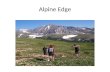 Alpine Edge. Species Diversity Richness vs. Evenness.