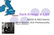 Dark Energy & LSS SDSS & DES teams (Bob Nichol, ICG Portsmouth) Marie Curie (EC)