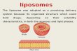 Liposomes The liposome was adopted as a promising delivery system because its organized structure which could hold drugs, depending on their solubility.
