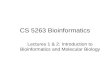 CS 5263 Bioinformatics Lectures 1 & 2: Introduction to Bioinformatics and Molecular Biology.