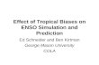 Effect of Tropical Biases on ENSO Simulation and Prediction Ed Schneider and Ben Kirtman George Mason University COLA.