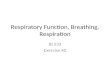 Respiratory Function, Breathing, Respiration BI 233 Exercise 40.