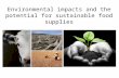 Environmental impacts and the potential for sustainable food supplies.