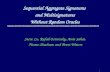 1 Sequential Aggregate Signatures and Multisignatures Without Random Oracles Steve Lu, Rafail Ostrovsky, Amit Sahai, Hovav Shacham, and Brent Waters.