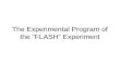 The Experimental Program of the “FLASH” Experiment.