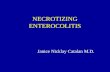 NECROTIZING ENTEROCOLITIS Janice Nicklay Catalan M.D.