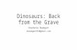 Dinosaurs: Back from the Grave Stephanie Baumgart sbaumgart92@gmail.com.