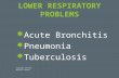 LOWER RESPIRATORY PROBLEMS  Acute Bronchitis  Pneumonia  Tuberculosis Copyright 2/4/2013 Michelle Gardner.