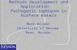 Methods Development and Application: Pathogenic Leptospira in Surface Waters Mark Walker University of Nevada Reno, Nevada.