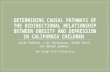 DETERMINING CAUSAL PATHWAYS OF THE BIDIRECTIONAL RELATIONSHIP BETWEEN OBESITY AND DEPRESSION IN CALIFORNIA CHILDREN Sarah Poblete, Liki Porotesano, Breah.