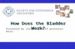 How Does the Bladder Work? Presented by (insert name of presenter here)